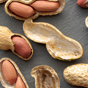 Groundnut Shells