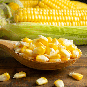 Maize
