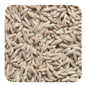Cumin seeds JEERA BOLD