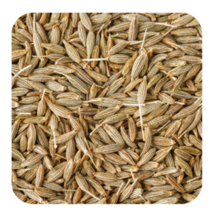 Cumin seeds JEERA SINGAPORE