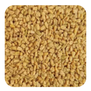 METHI SEEDS
