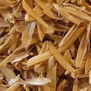 Rice Husk